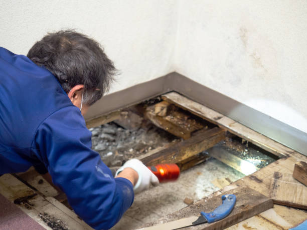 Best Crawl Space Mold Removal  in Colonial Rk, PA