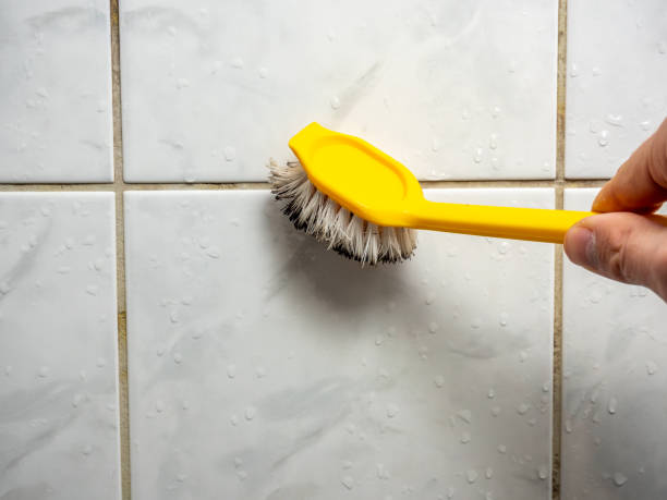 Best Emergency Mold Removal  in Colonial Rk, PA