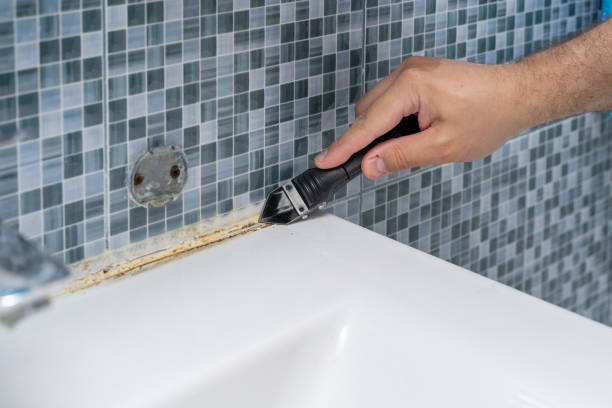 Best Home Mold Removal  in Colonial Rk, PA
