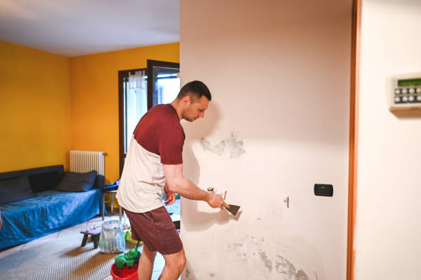 Best Certified Mold Removal  in Colonial Rk, PA